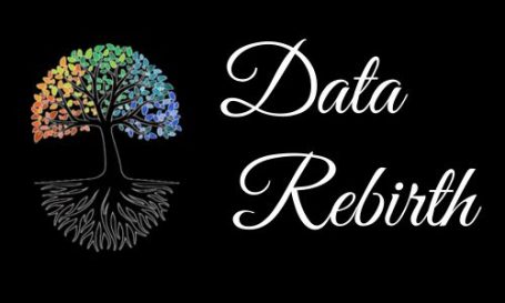 Logo Data Rebirth, symbolisant la renaissance des données et l'équilibre entre technologie et vivant.